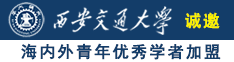 殴洲美B大B骚性诚邀海内外青年优秀学者加盟西安交通大学